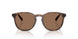 597473 - Tortoise - Dark Brown