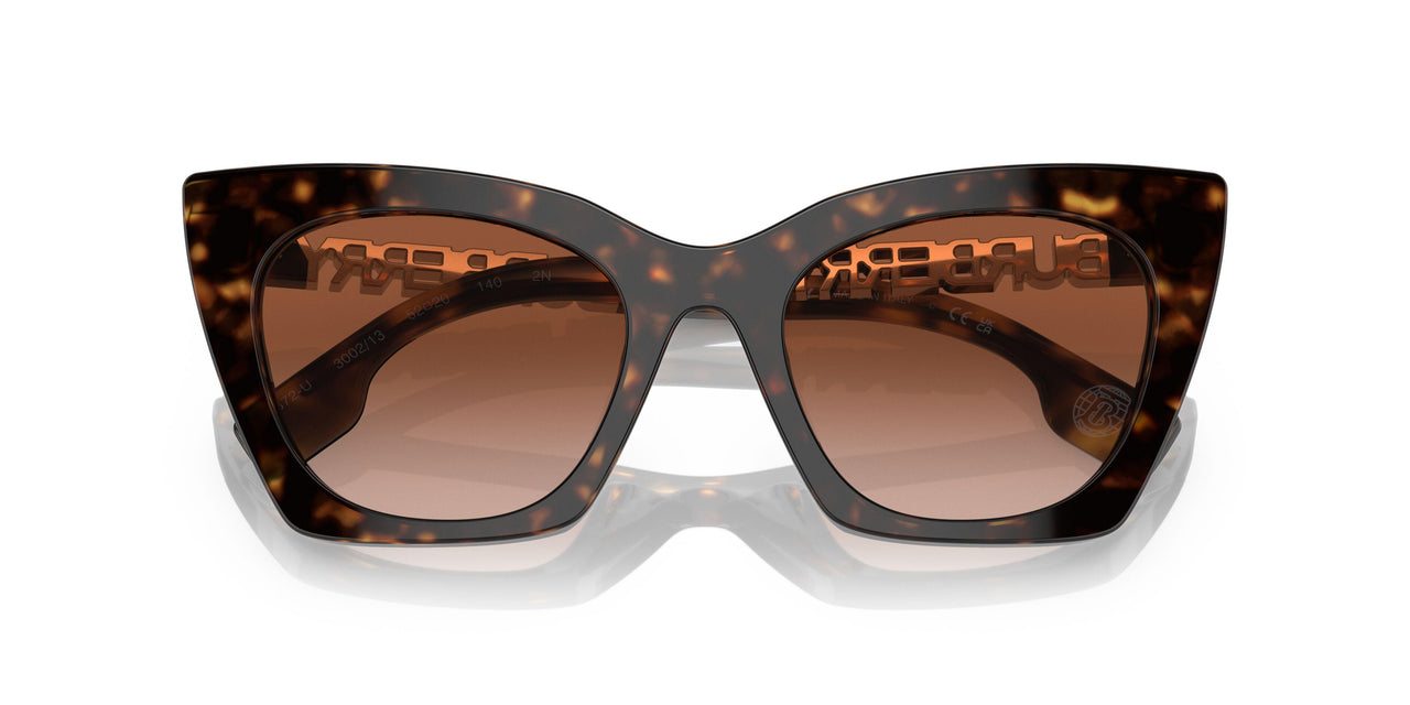 300213 - Brown - Brown Gradient