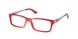 Polo 2115 Eyeglasses