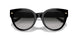 50023C - Black - Grey Gradient