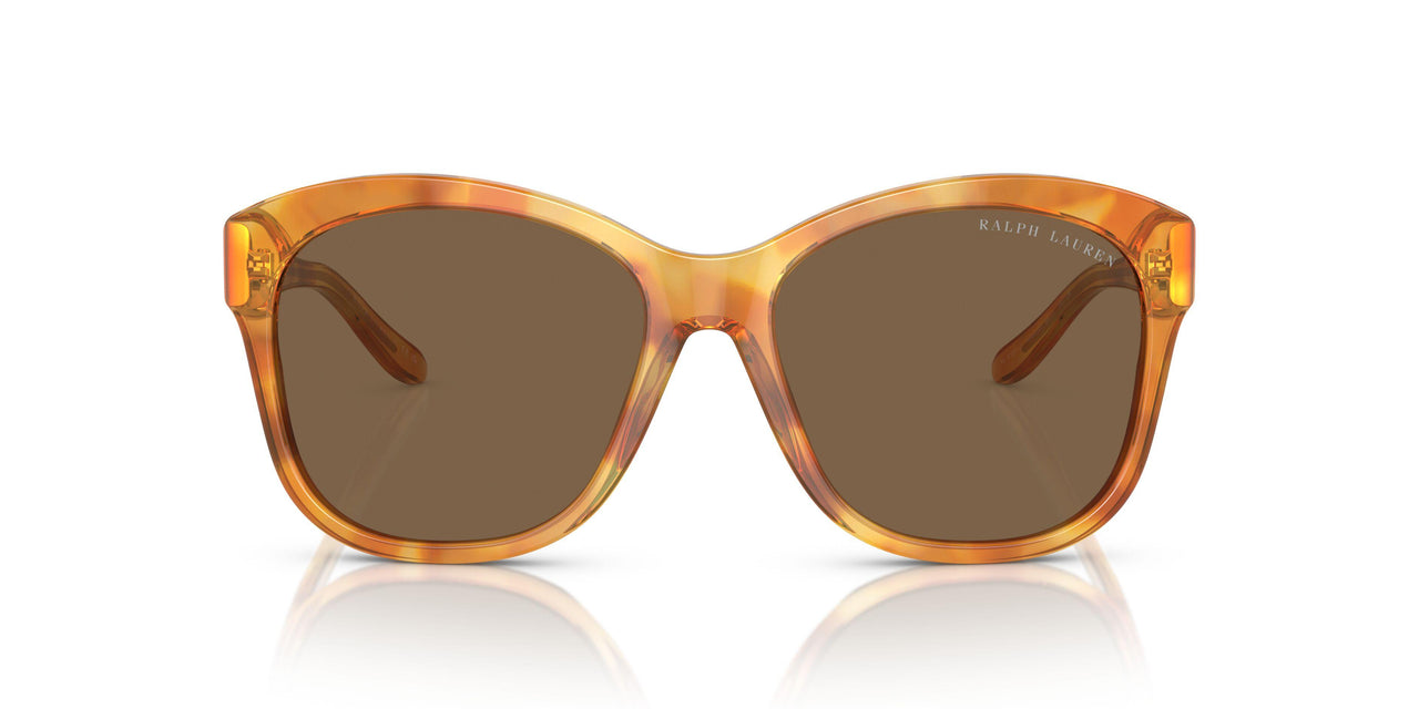 605173 - Tortoise - Brown
