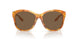 605173 - Tortoise - Brown