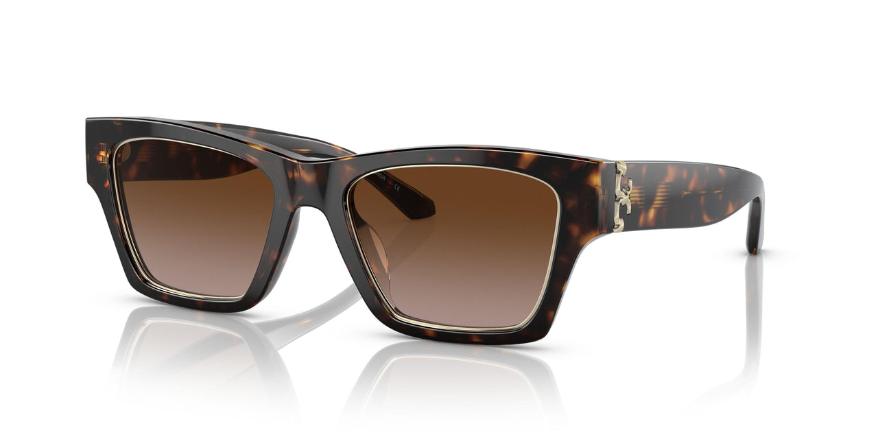 172813 - Havana - Brown Gradient