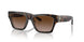 172813 - Havana - Brown Gradient