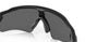920851 - Matte Black - Prizm Black Polarized