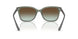 3086E8 - Green - Green Gradient Brown