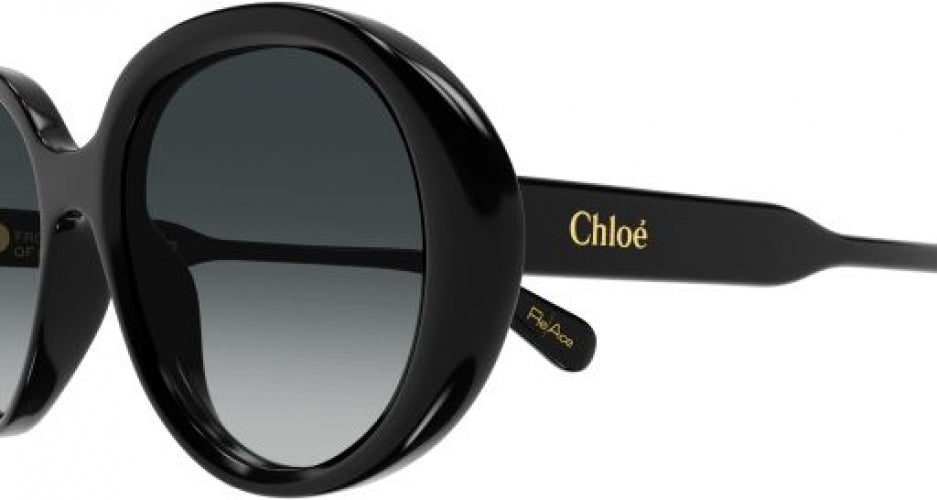 Chloe CH0221S Sunglasses display picture 2