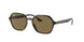 710/73 - Havana - Dark Brown