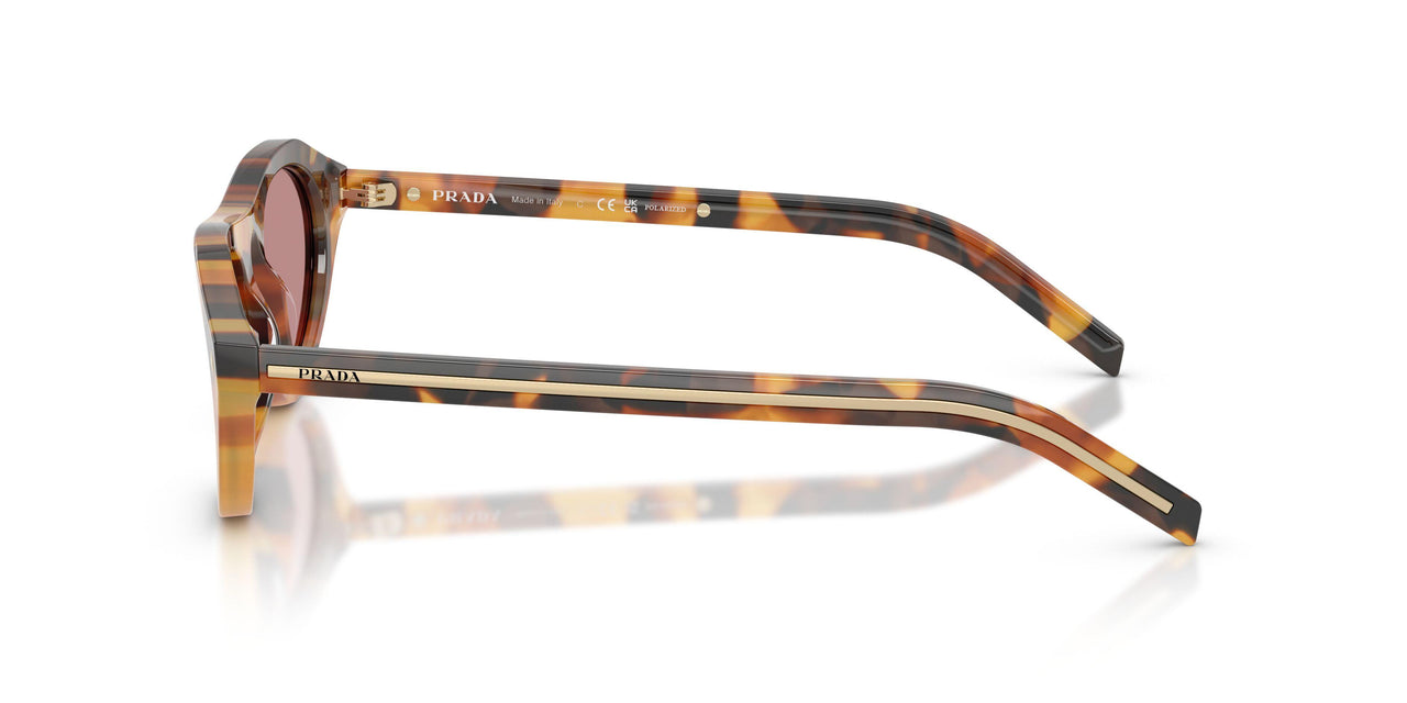 29C05Z - Tortoise - Dark Pink Polar