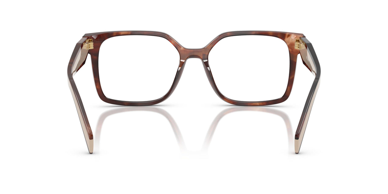 07R1O1 - Brown