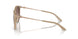 834213 - Brown - Gradient Brown