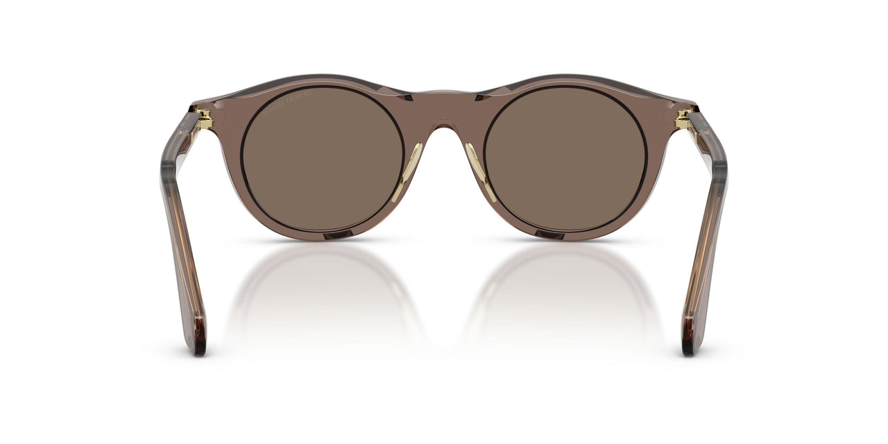642073 - Brown - Brown