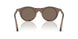 642073 - Brown - Brown