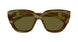 004 - Havana - Brown