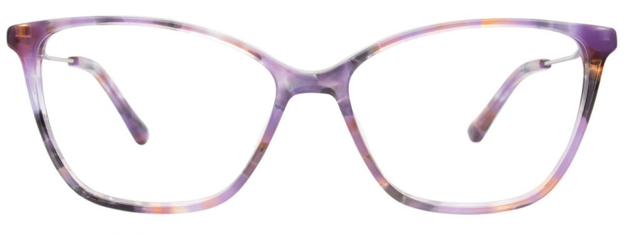 80 - Purple Tortoise