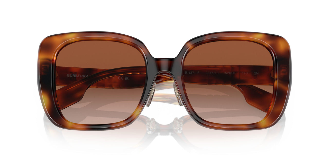 331613 - Havana - Brown Gradient