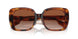 331613 - Havana - Brown Gradient