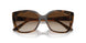 238613 - Havana - Brown Gradient