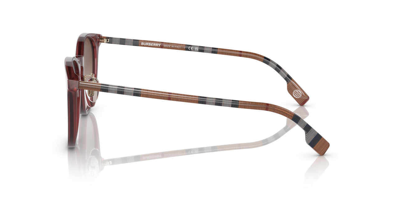 401813 - Red - Brown Gradient