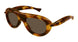 002 - Havana - Brown