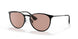 002/Q4 - Black - Evolve Photo Brown To Dark Bro