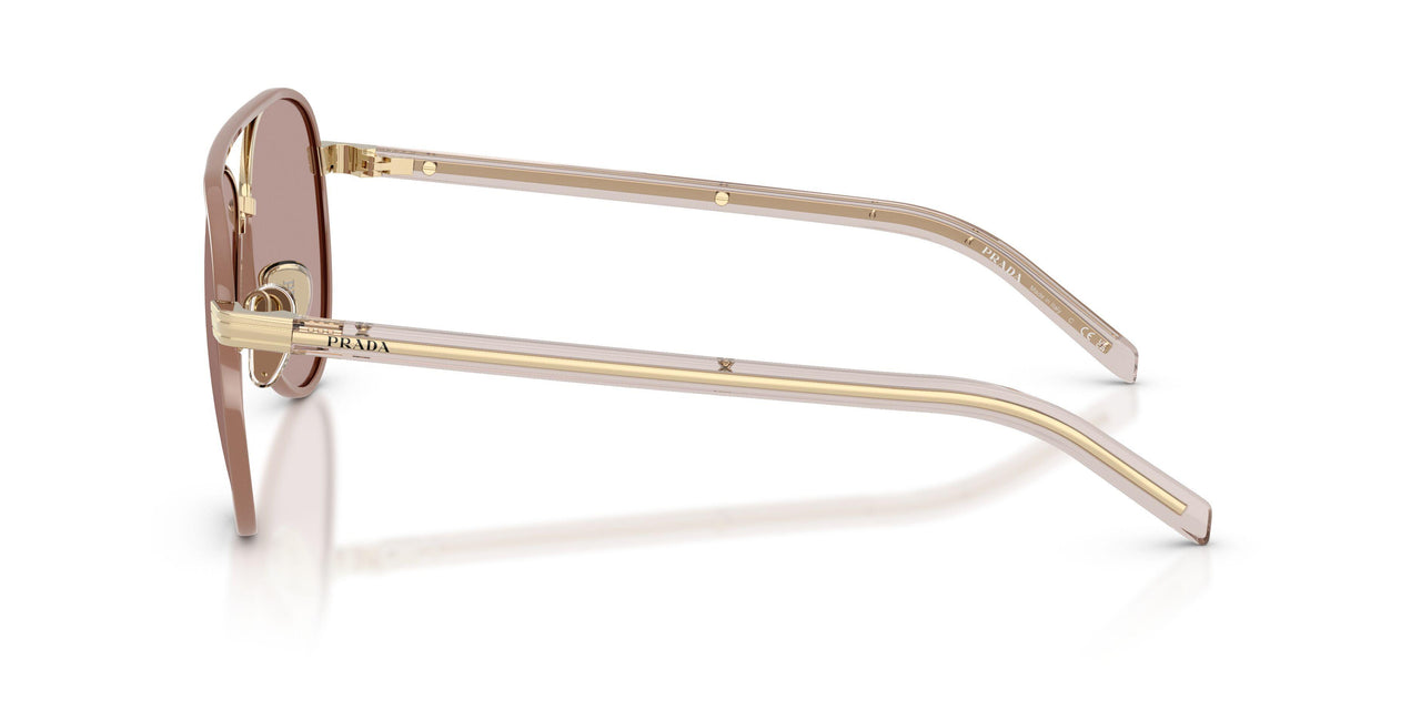 24E20I - Gold - Light Purple Brown