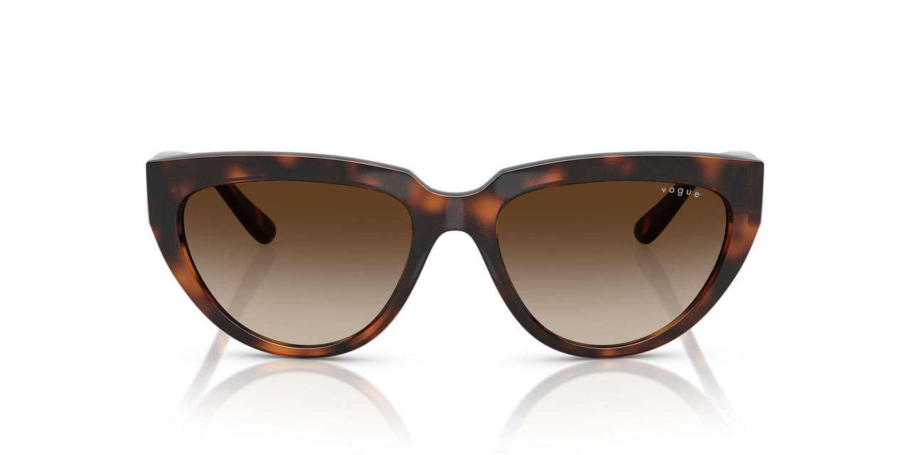 271813 - Brown - Gradient Dark Brown