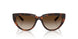 271813 - Brown - Gradient Dark Brown
