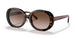 512013 - Havana - Brown Gradient