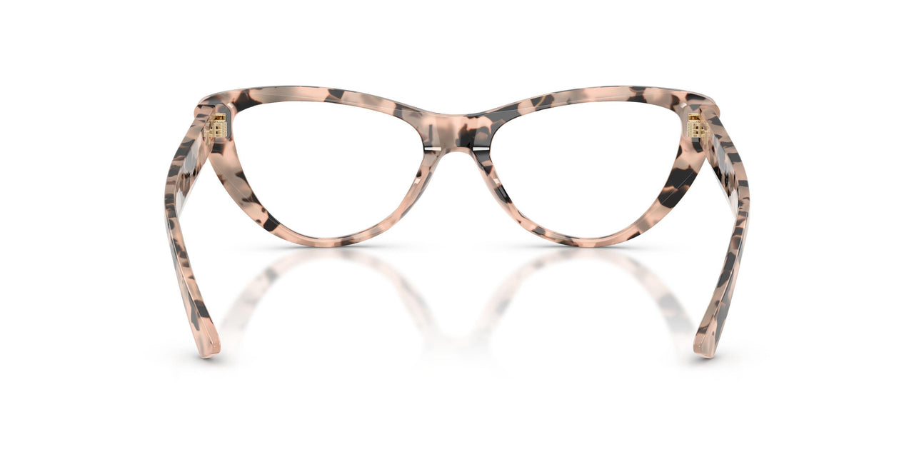 5080 - Tortoise