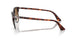112751 - Havana - Clear Gradient Brown