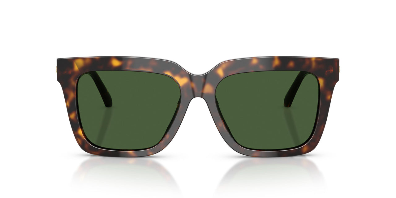 108/71 - Tortoise - Dark Grey