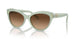 608274 - Green - Gradient Brown