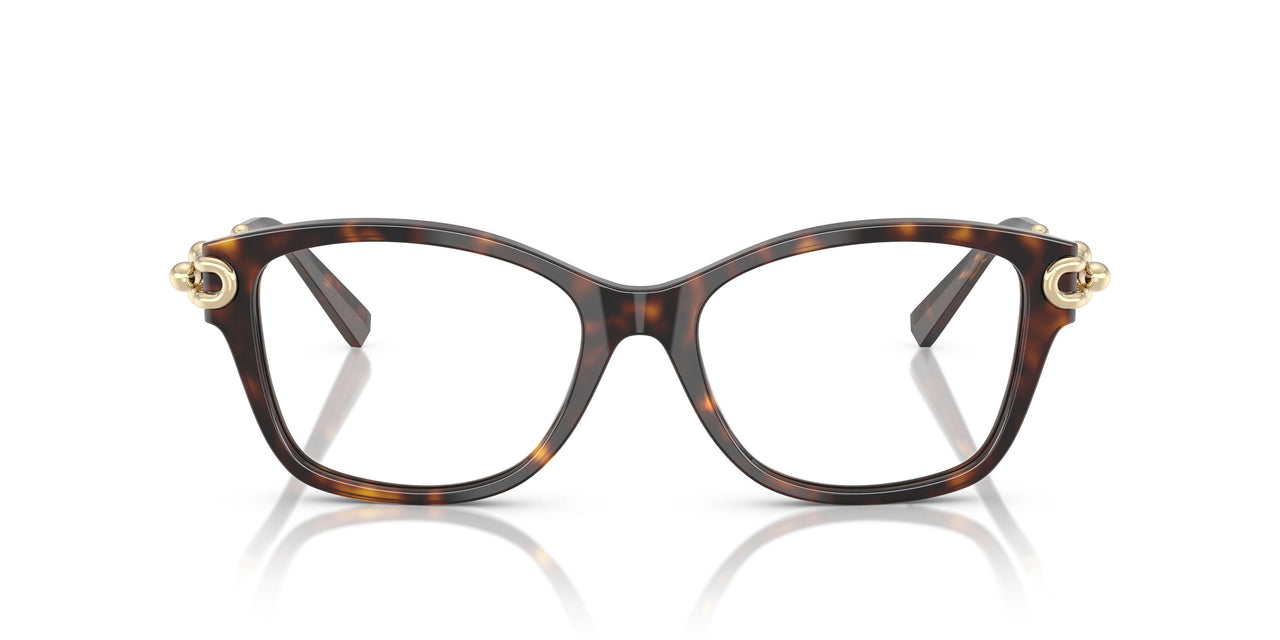 8015 - Tortoise