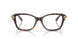 8015 - Tortoise