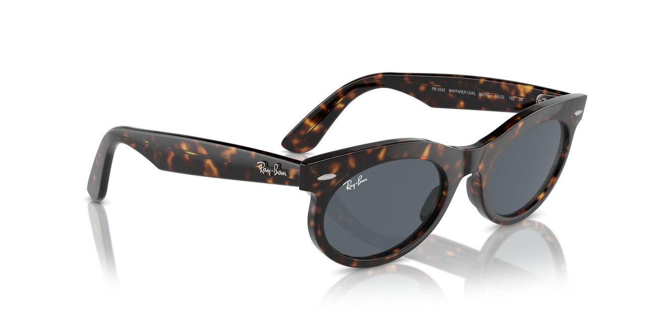 902/R5 - Tortoise - Blue