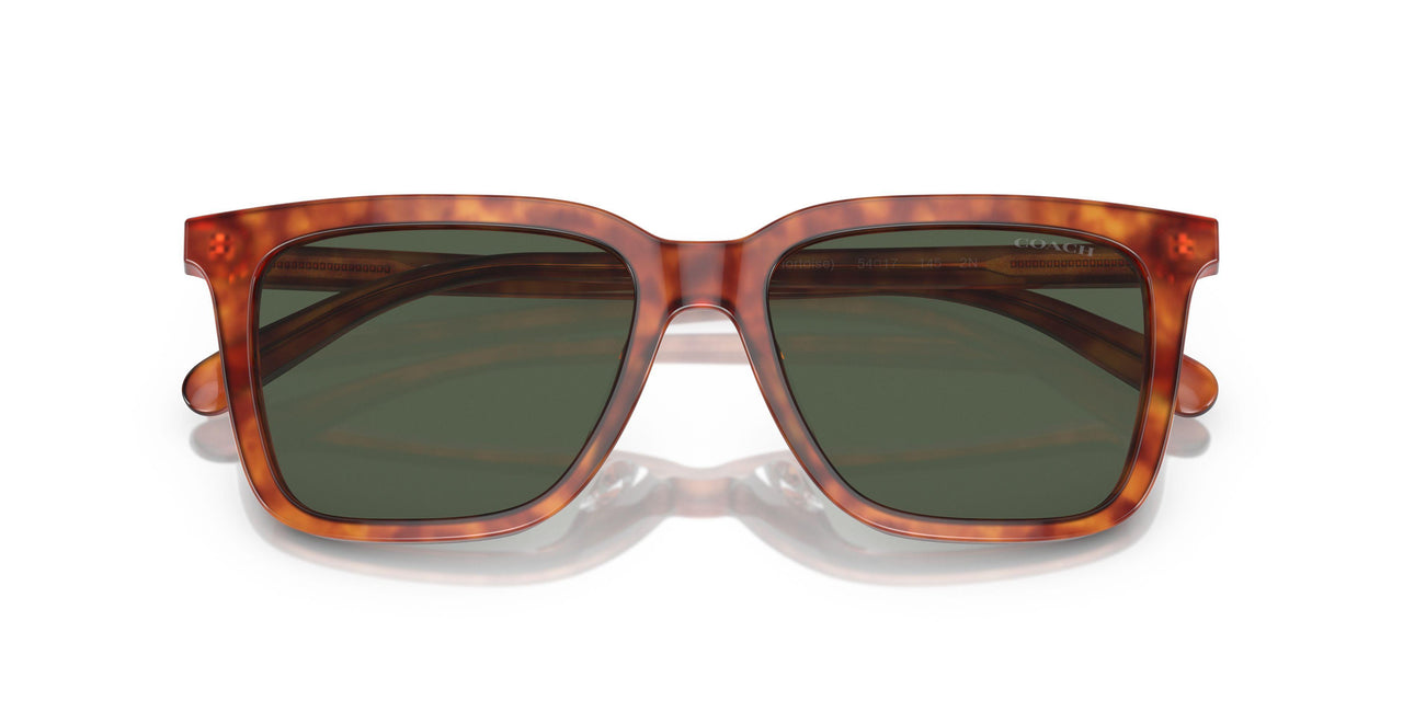 577482 - Tortoise - Green