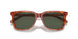 577482 - Tortoise - Green