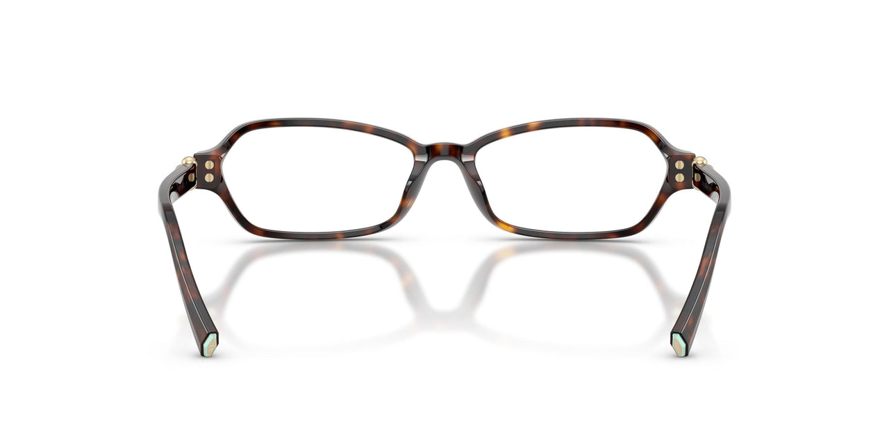 8015 - Tortoise