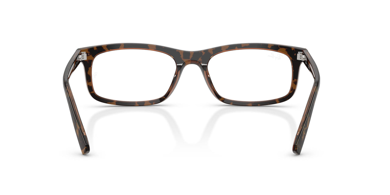 8484 - Tortoise - Clear