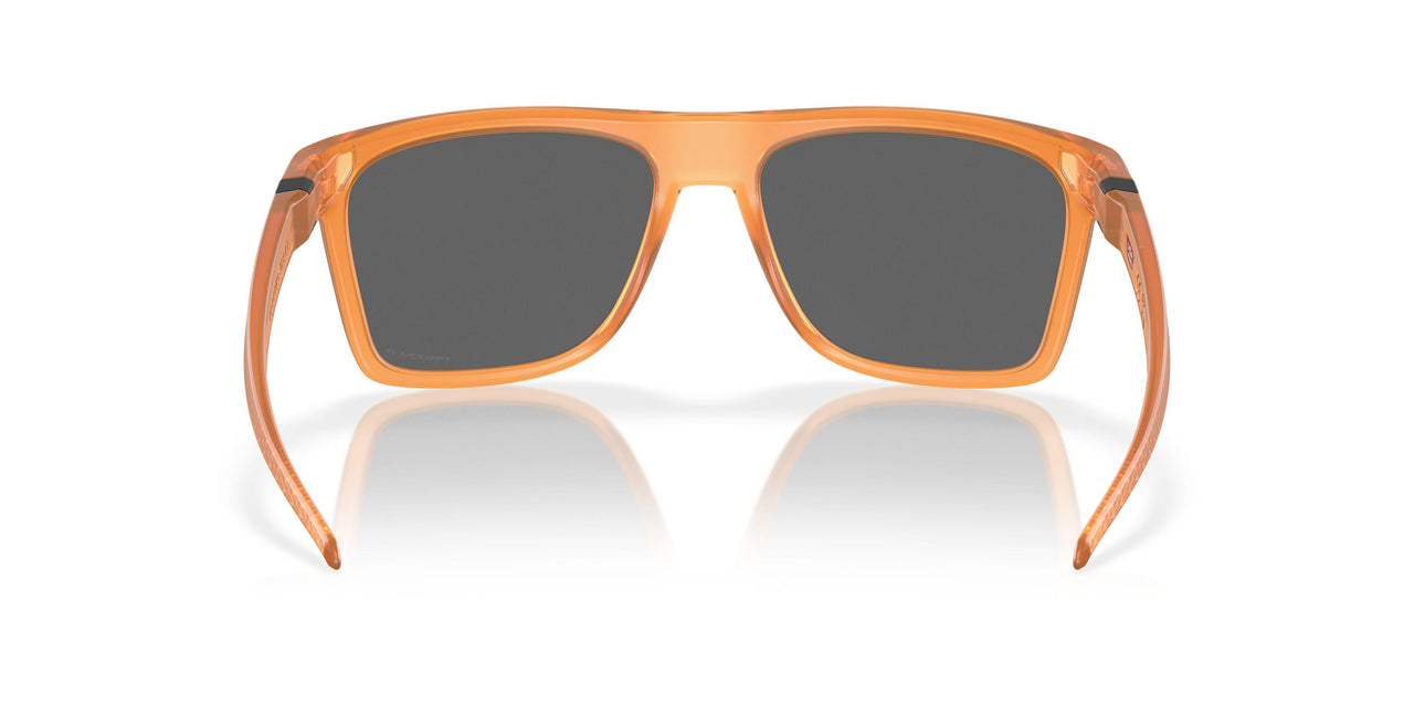 910019 - Brown - Prizm Black Polar