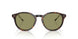 587914 - Tortoise - Green