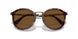 24/57 - Tortoise - Polar Brown