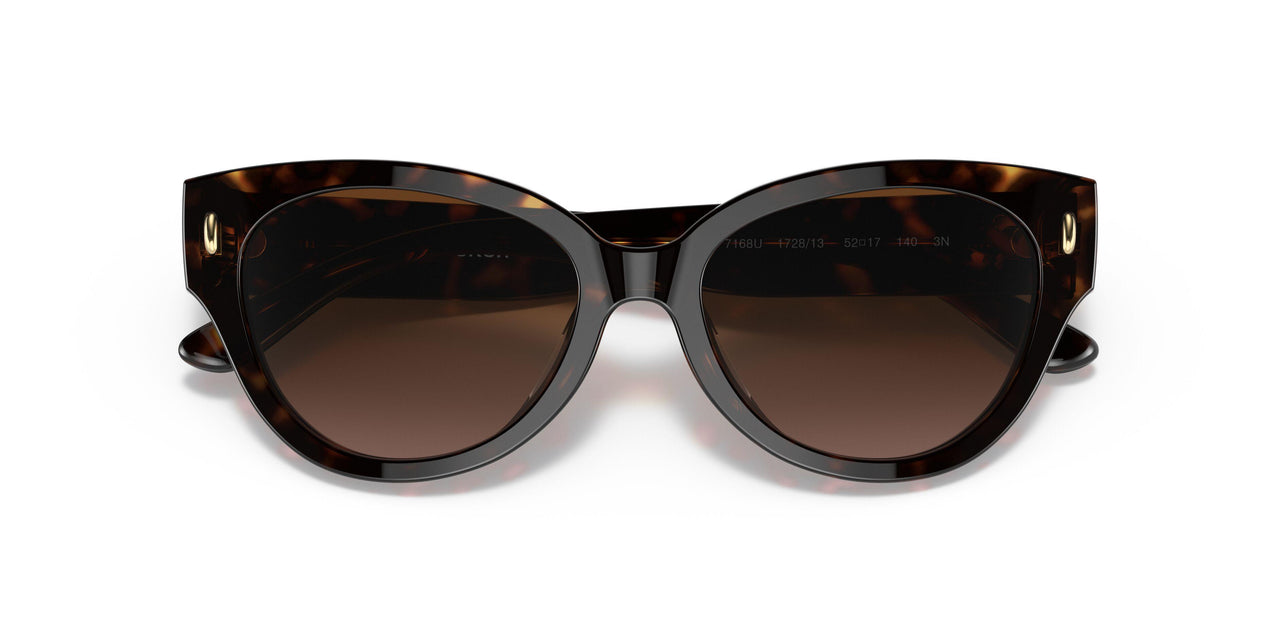172813 - Havana - Brown Gradient