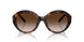 80153B - Tortoise - Brown Gradient