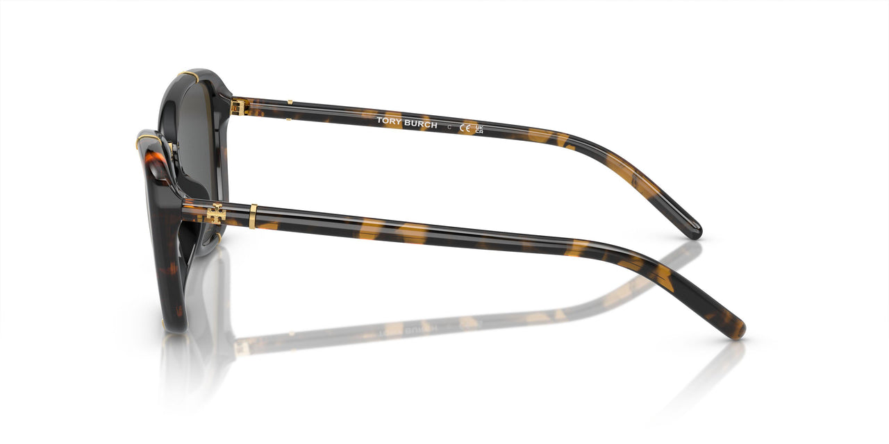 194087 - Tortoise - Dark Grey
