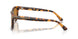 591693 - Tortoise - Light Brown