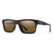 208898N9P54L5 - Matte Tortoise - ChromaPop Polarized Brown