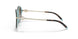 81343B - Havana - Brown Gradient