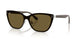 Ray-Ban 3798D Sunglasses